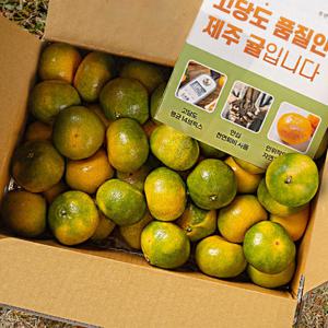 [대한민국농수산] 제주도 농장 산지직송 로얄과 극조생 귤 4.5kg (40~58과)