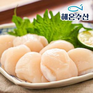 [해온수산] 국내산 키조개 관자(대) 500g 10미내외