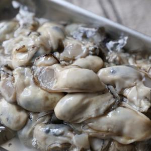 [맛군] 산지직송 통영 제철 싱싱한 생굴 1kg