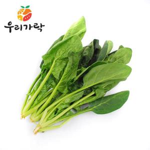 [우리가락]시금치 1단