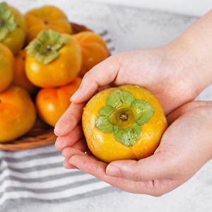 [감동 단감] 지리산 햇 단감 5kg 왕특과 22과 내외