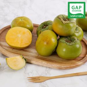 [GAP인증] 달달한 창원 태추단감 (13~15과내) 2.5kg 중소과