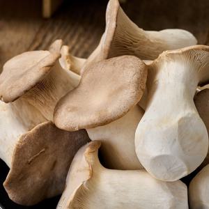 국내산 새송이버섯 2kg 미니