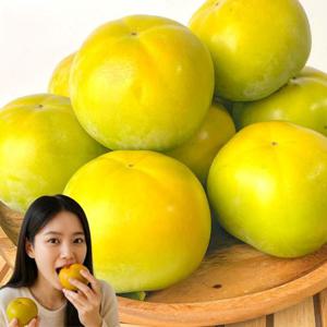 포미식탁 아삭 단감 고당도 태추단감 중과 3kg