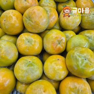 귤마을 청도반시 대과 5kg (31-40과)