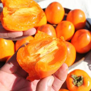 달콤한 대봉감 10kg(31-40과)