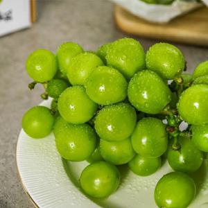 [농부마음] 고당도 샤인머스캣 청포도 망고포도 가정용 4kg  4-6수