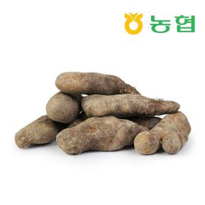 [북안동농협] 안동 산마(중) 5kg