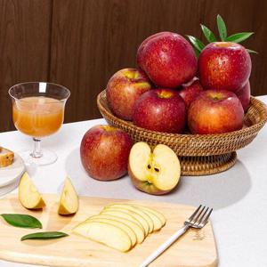 [더조은] 햇사과 경북직송 감홍사과 (가정용) 5kg 23-28과