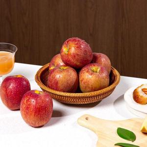 [더조은] 햇사과 경북직송 감홍사과 (가정용) 3kg 10-14과