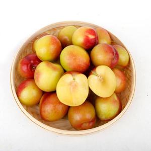새콤달콤 햇자두 대석 홍로센 하우스 자두 1.5kg 중소과