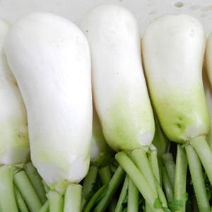 [예약배송]싱싱한 황토 세척 알타리무/초롱무 5kg(3단내외)