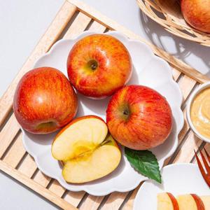 [더조은] 알뜰 꿀사과 부사사과 4kg 소과 (25-27과)