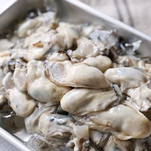 [맛군] 싱싱하고 탱글탱글한 통영 생굴 2kg