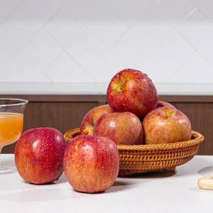 [더조은] 햇사과 경북직송 감홍사과 (가정용) 3kg 15-18과