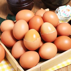 [푸르젠 구운계란] 참숯돌에 구운계란(개당 45~50g) 30개 x 2판 구운소금증정