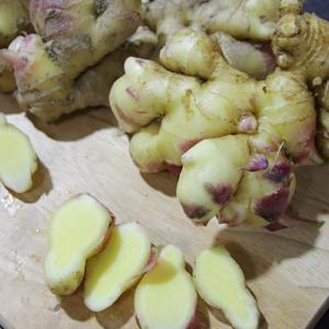 경북 안동 햇 생강 10kg