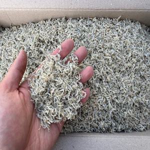 [명화씨푸드] 볶음 조림 햇 잔지리멸치 세멸 1.5kg