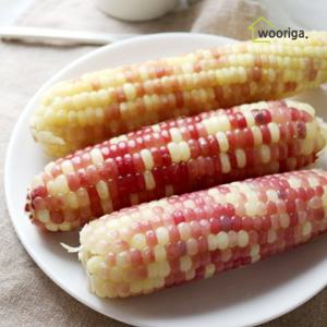 [우리가스토리]냉동 삶은 홍찰 옥수수 32개 14~16cm내외