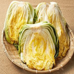 HACCP 해남 김가네 절임배추 20KG