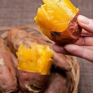 [세척] 여주 햇호박고구마 특상3kg 25년산