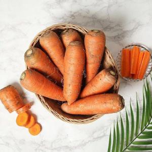 갤러리아_[농부마음]햇 당근 국내산 흙당근 10kg(중품)