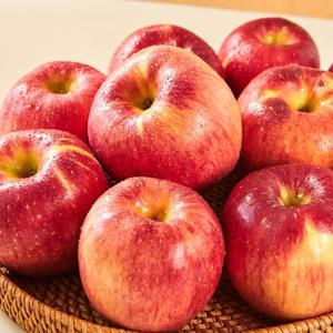 국내산 햇 부사사과(알) 미색못난이 3kg (15-18과)