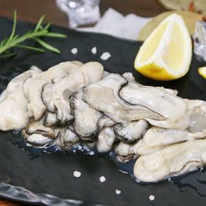 [춘백이네어부장터] 국내산 생굴 1kg