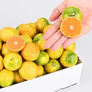 [산지직송]제주 하우스 감귤 2.5kg 실속형 (2S~M)