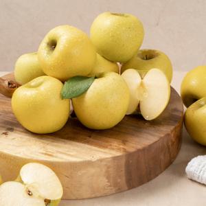 [농협 블랙라벨 ] 시나노골드 사과 3kg(개당중량 214~280g / 총 11~14과)