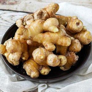 갤러리아_경북 영주 흙생강(미세척) 특품 1kg /25년햇생강