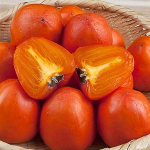 영암 대봉감 중대과 10kg 35과내외