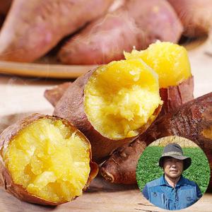 25년 해남 해풍고구마 달인 전태식 꿀고구마 5kg(특상/120-300g이내) 생활의 달인