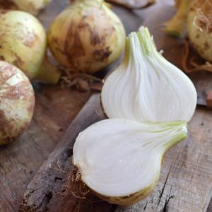 국내산 25년 햇 양파 10kg 특/요리용