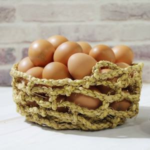 창녕 우포계란 대란 60구