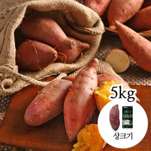 [감동 고구마] 세척 꿀고구마 5kg 상크기