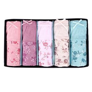 BFL 블라썸 실켓가공 맥시팬티/5매입/여성팬티/속옷