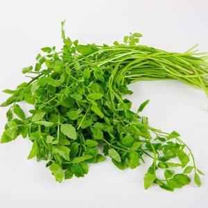 세척손질! 국내산 미나리2kg