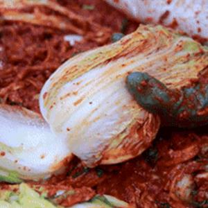 [함평골김치] 감칠맛이 풍부한 전라도 포기김치 3kg