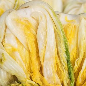 [지정일배송] 해남 절임 배추 20kg (6-8포기)