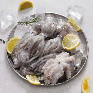 [물맛남] 절단 주꾸미 1박스 3kg (500gx6팩/반절단/3컷절단)