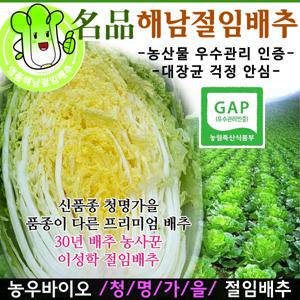 해남직송 명품 해남절임배추 20kg (도착원하는날짜문의-01036462198 문자가능)