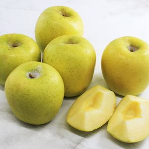 경북 안동 햇 시나노골드 황금 사과 (가정용) 2kg(7~16과), 3kg(10~21과), 5kg(12~31과)