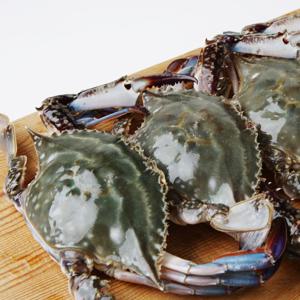 서천 25년 가을꽃게 햇꽃게 숫꽃게만 선별 1kg 5-7미(빙장) 추석이후발송