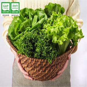 [무농약 GAP인증] 유러피안 샐러드 1kg 상추 (도시의푸른농장) 로메인 버터헤드 바타비아 바타아이스 프릴아이스
