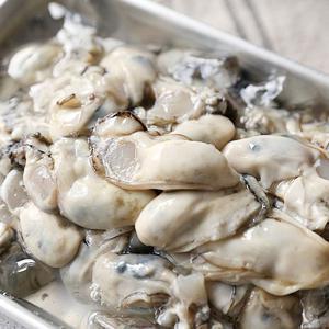 통영 당일조업 생굴(중대굴)/세척 홍가리비(kg당20-22미내외) 택1/빙장포장