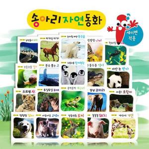 [보리보리](파란) 송아리자연동화 (전 22권 _ 자연동화 20권, 스크랩북2권) / 세이펜활용호환 / 자연그림책 / 영유아