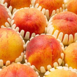 달콤한 황도복숭아 2kg(8-12과 내외)/4kg(10-15과) 말랑이복숭아