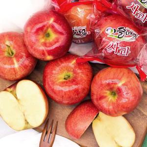 당찬 경북 저탄소 세척사과 정품 2kg 3kg  골라담기 당도선별 (홍로)