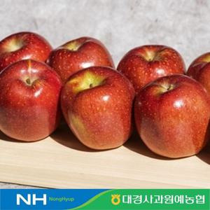 [10/13순차출고] 경북 문경 고당도 감홍사과 3kg 대과 구성